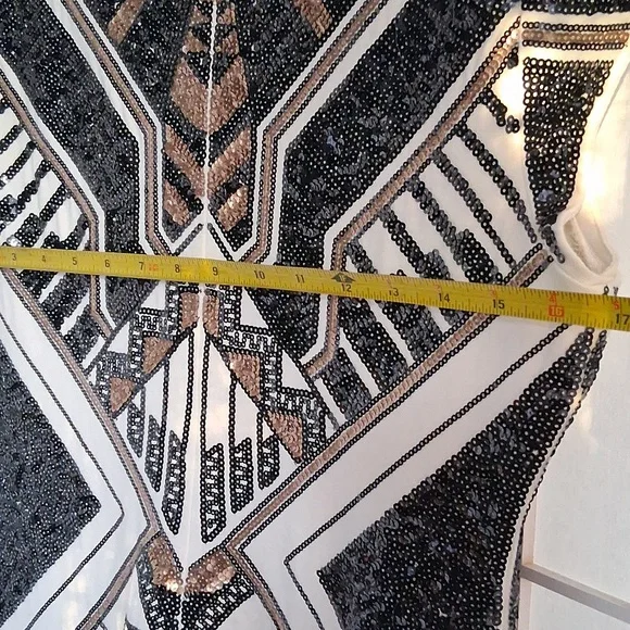 Expresss Sequined Dress
